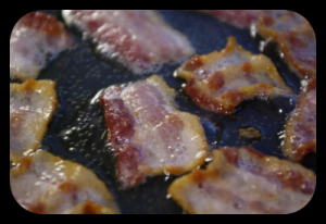 In defense of animal fats @ Intoxiatedonlife.com Animal Fats