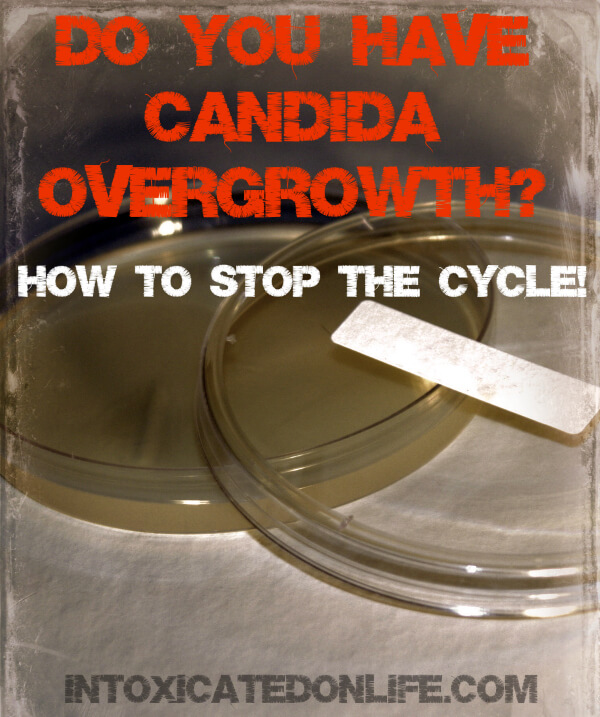 Candida Overgrowth Diets