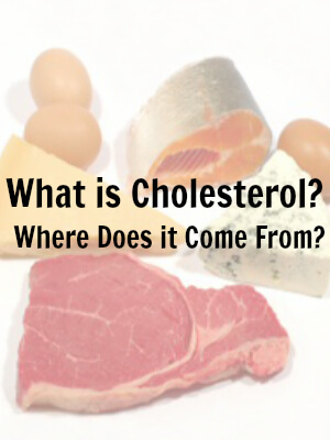 What is Cholesterol and where does it come from