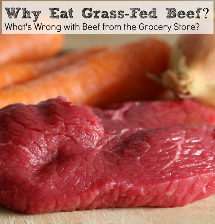 Kids, Cows and Grass: Supermarket beef is raised by farm families!