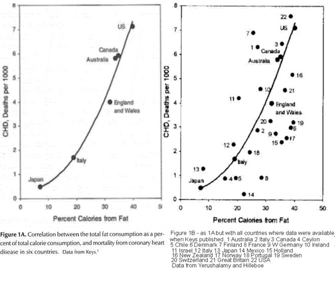 cholesterol hypothesis