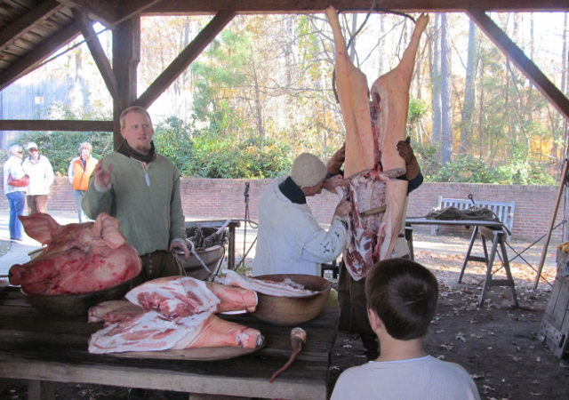 Bradley watching the pig