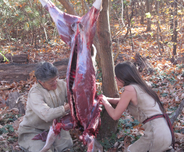 Deer preparation in Jamestown