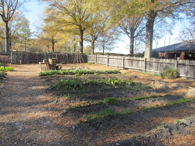 The garden at the farm