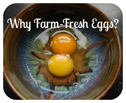 Why Farm Fresh Eggs?