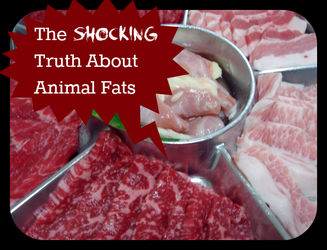The Shocking Truth About Animal Fats
