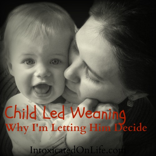 Child Led Weaning- Why I'm Letting Him Decide