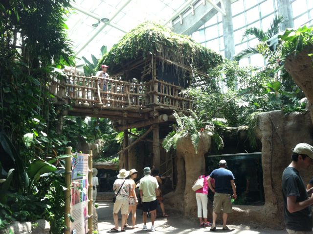 Audubon Aquarium rainforest