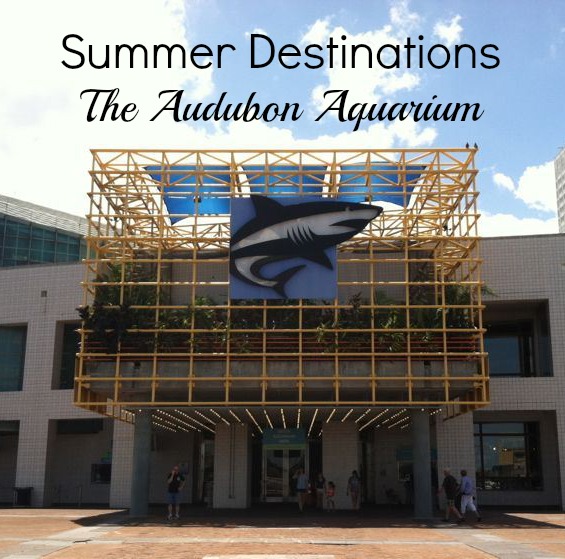 Audubon-Aquarium