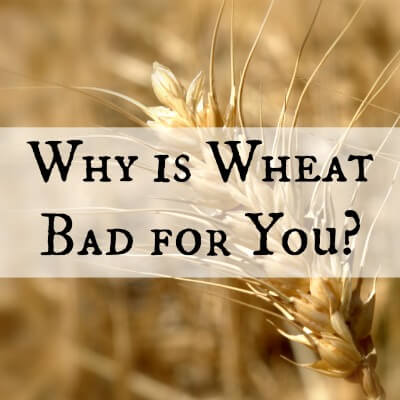 Why is Wheat Bad for You? What Scientific Studies Say