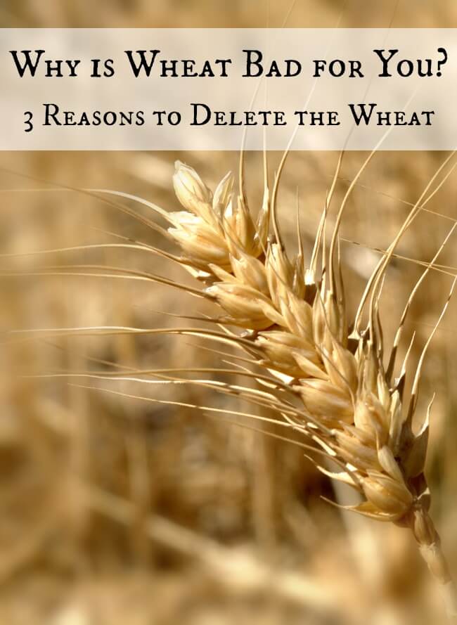 why-is-wheat-bad-for-you-what-scientific-studies-say