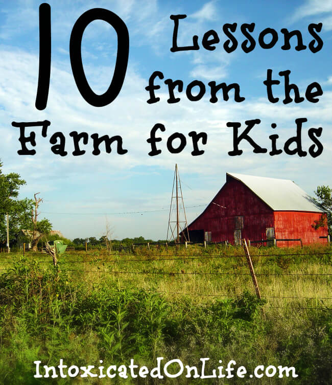 10 Lessons from the Farm for Kids