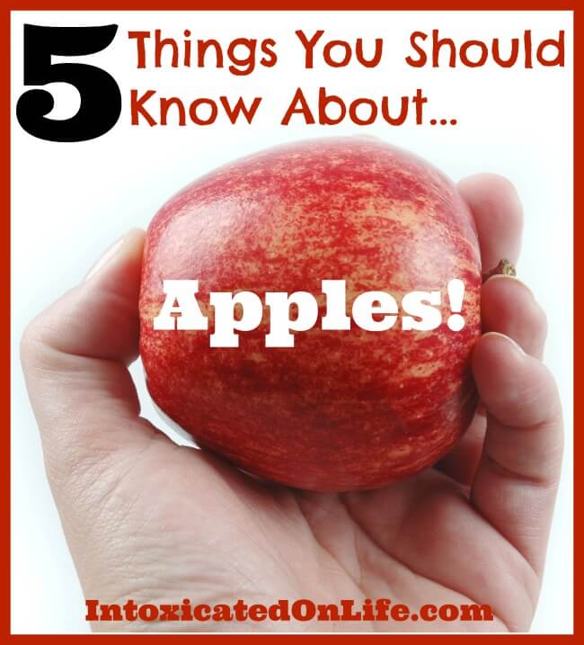 5 things you didn't know about apples