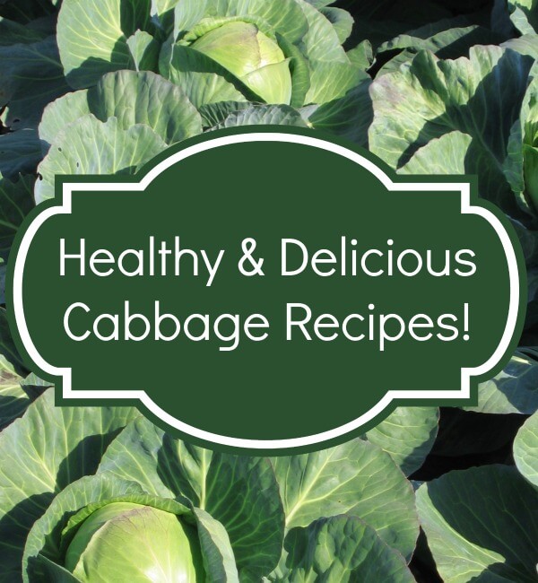 Healthy & Delicious Cabbage Recipes
