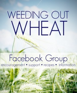 Join our "Weeding Out Wheat" Facebook Group for encouragement and support on your wheat-free journey.