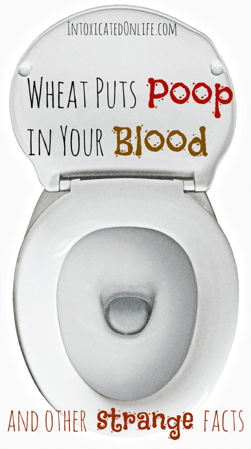 Wheat Puts Poop in Your Blood And Other Strange Facts