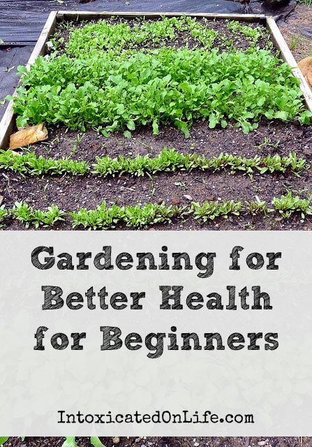 Gardening for Better Health for Beginners on IntoxicatedOnLife.com