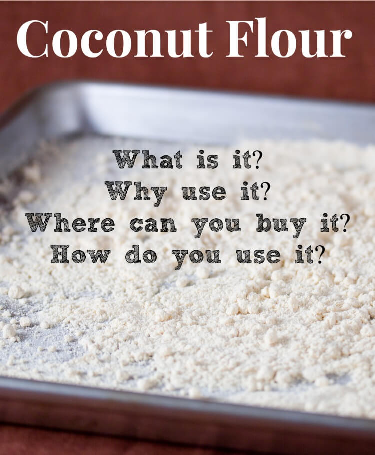 A Beginners Guide to Coconut Flour