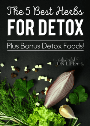 The 5 Best Herbs For Detox (Plus Bonus Detox Foods!)