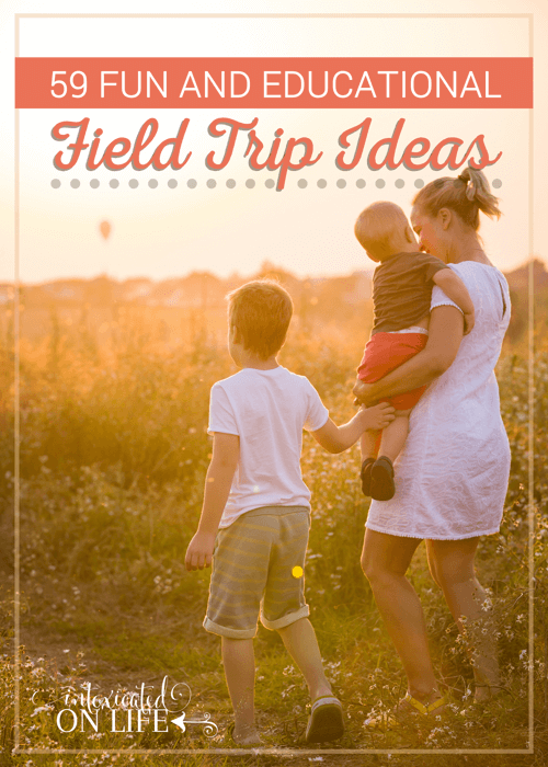 best day trips for 5 year olds